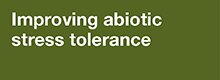 Abiotic Stress Tolerance Abiotic Stress Tolerance