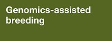 Genomics Assisted Breeding Genomics Assisted Breeding