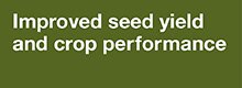 Improved Seed Yield Improved Seed Yield